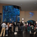 Aquarium Entrance